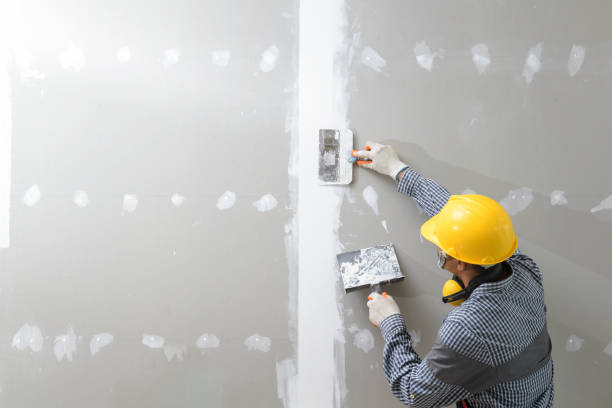 Best Crawl Space Mold Remediation  in Philadelphia, PA